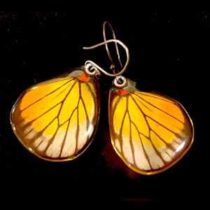Butterfly Wings Earrings